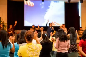 Our Counselling Hours