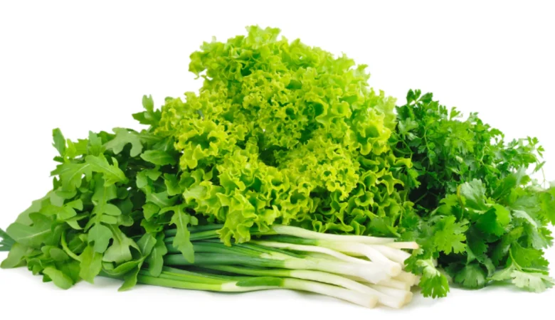 Vegetable Corner  蔬菜角落