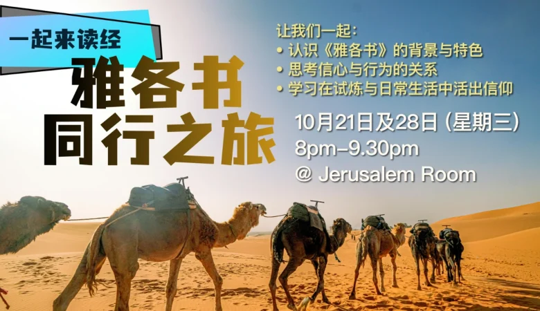 一起来读经  雅各书同行之旅